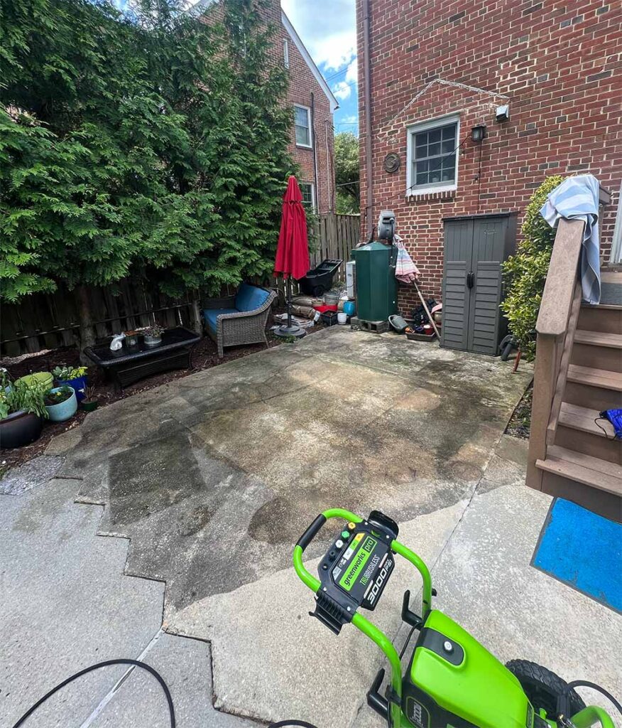 backyard before